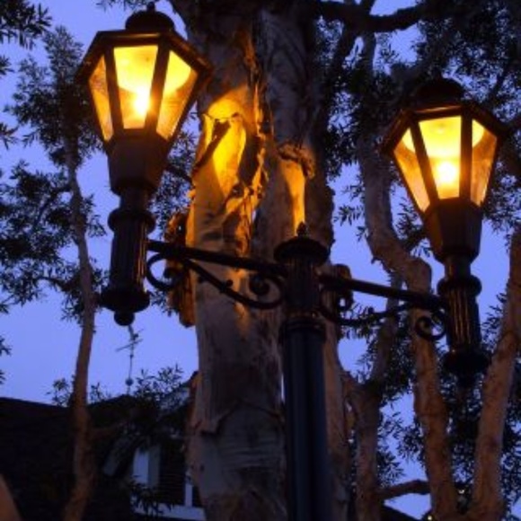 ENCHANTED LIGHTS ~ MOUNTED ON 8" X 10" CANVAS - Picture 1 of 1